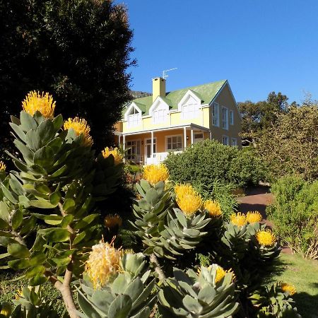 Villa La Paz Hout Bay Extérieur photo