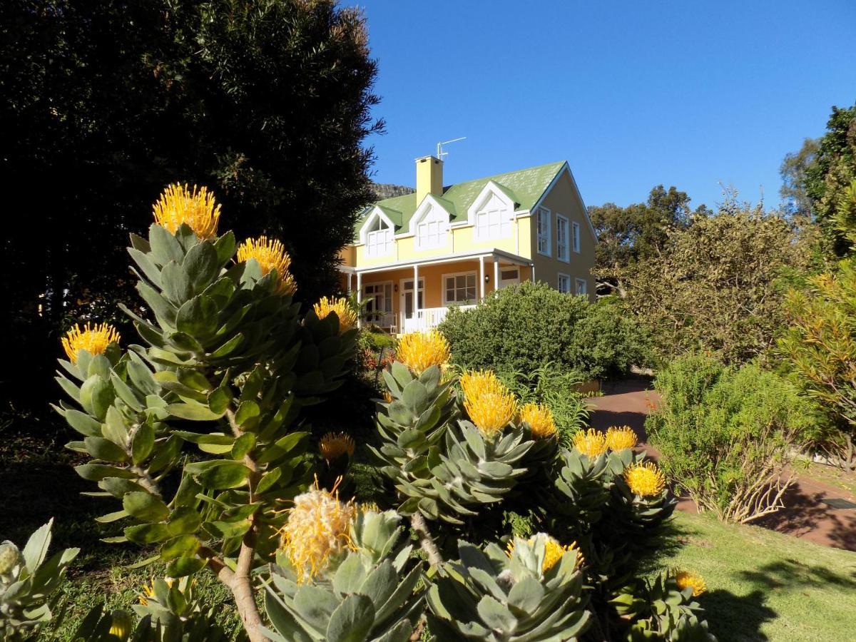 Villa La Paz Hout Bay Extérieur photo