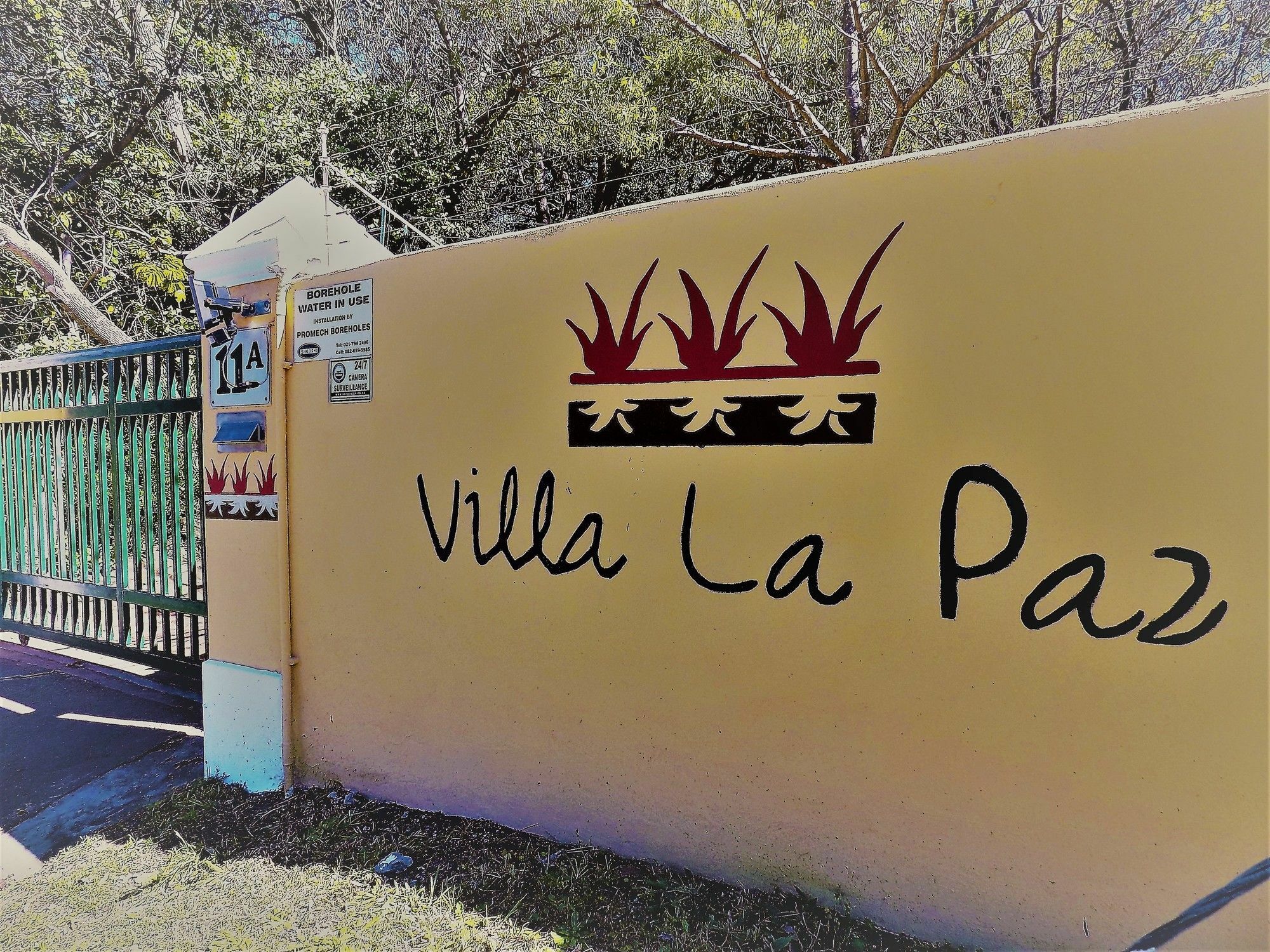 Villa La Paz Hout Bay Extérieur photo