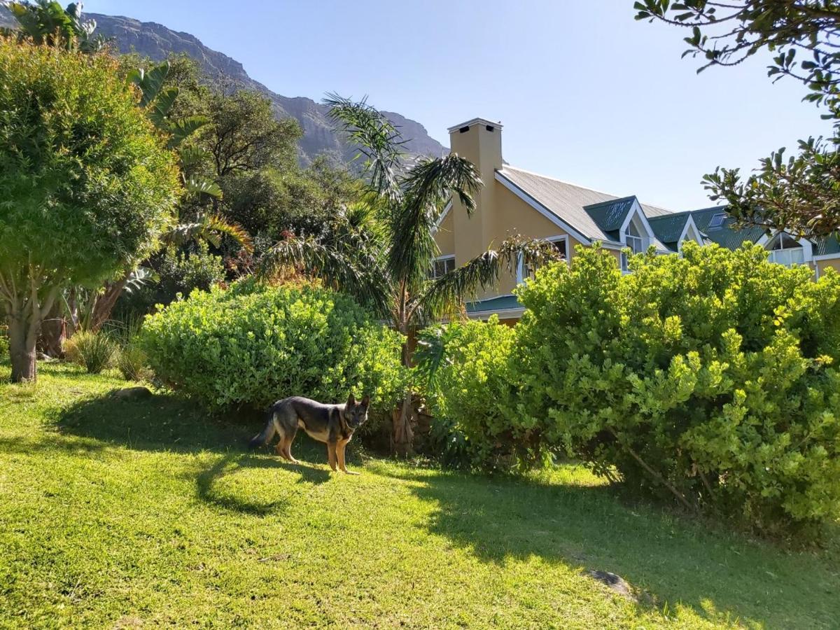 Villa La Paz Hout Bay Extérieur photo